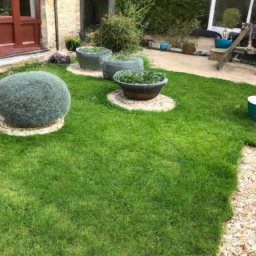 Techniques de taille pour maintenir un jardin esthétique et en bonne santé Villefranche-sur-Saone